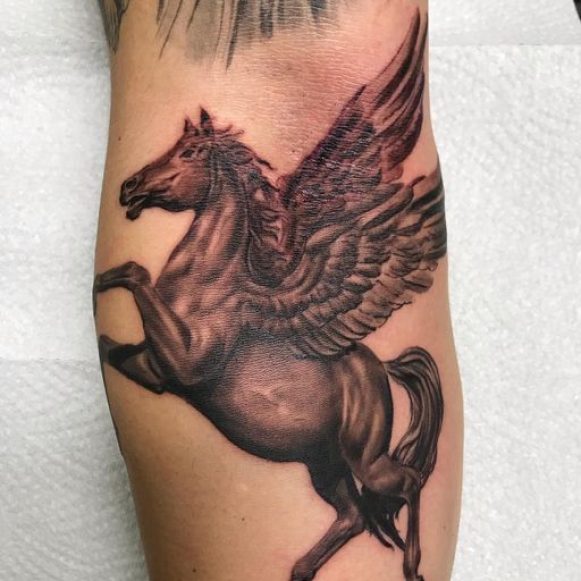 pegasus